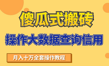 搬砖操作大数据查询信用项目赚钱教程，祝你快速月入6万-我爱找机会 - 学习赚钱技能, 掌握各行业视频教程