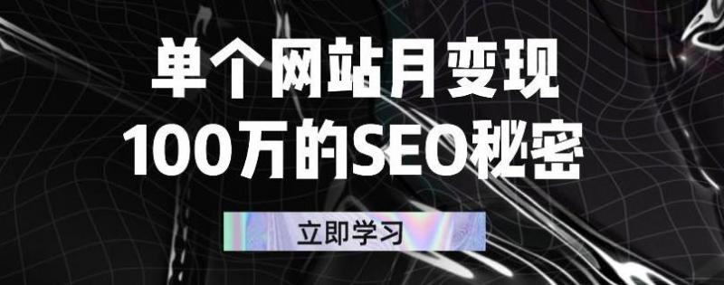 单个网站月变现100万的SEO秘密，百分百做出赚钱站点-我爱找机会 - 学习赚钱技能, 掌握各行业视频教程