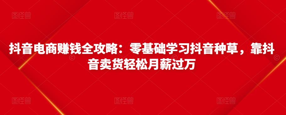 抖音电商赚钱全攻略：零基础学习抖音种草，靠抖音卖货轻松月薪过万-我爱找机会 - 学习赚钱技能, 掌握各行业视频教程