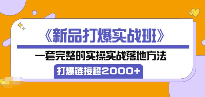 凌童《新品打爆实战班》,一套完整的实操实战落地方法，打爆链接超2000+（28节课)-我爱找机会 - 学习赚钱技能, 掌握各行业视频教程