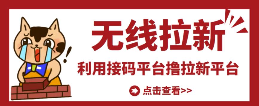 最新接码无限拉新项目，利用接码平台赚拉新平台差价，轻松日赚500+-我爱找机会 - 学习赚钱技能, 掌握各行业视频教程