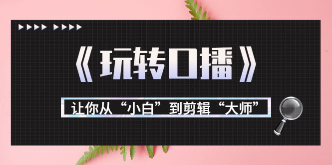 月营业额700万+大佬教您《玩转口播》让你从“小白”到剪辑“大师”-我爱找机会 - 学习赚钱技能, 掌握各行业视频教程