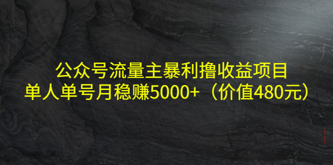 公众号流量主暴利撸收益项目，单人单号月稳赚5000+（价值480元）-我爱找机会 - 学习赚钱技能, 掌握各行业视频教程