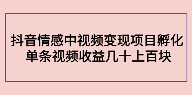 副业孵化营第5期：抖音情感中视频变现项目孵化 单条视频收益几十上百-我爱找机会 - 学习赚钱技能, 掌握各行业视频教程