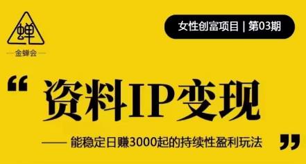 资料IP变现，能稳定日赚3000起的持续性盈利玩法-我爱找机会 - 学习赚钱技能, 掌握各行业视频教程