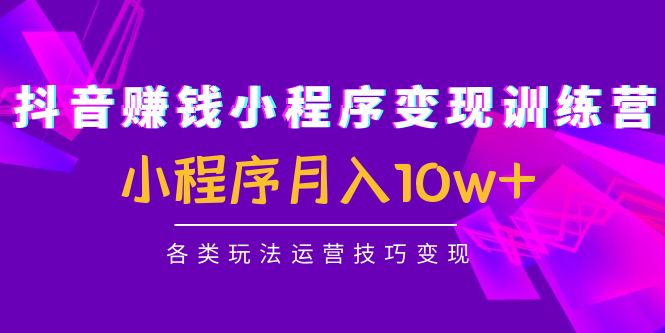 抖音赚钱小程序变现训练营：小程序月入10w+各类玩法运营技巧变现-我爱找机会 - 学习赚钱技能, 掌握各行业视频教程