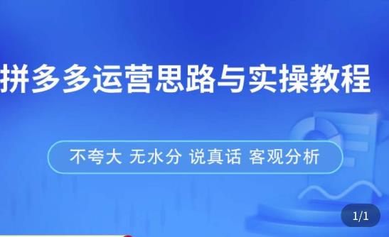 拼多多店铺运营思路与实操教程，快速学会拼多多开店和运营，少踩坑，多盈利-我爱找机会 - 学习赚钱技能, 掌握各行业视频教程