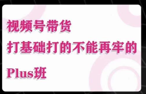 大播汇·视频号带货Puls班，视频号底层逻辑，起号自然流鱼塘等玩法-我爱找机会 - 学习赚钱技能, 掌握各行业视频教程