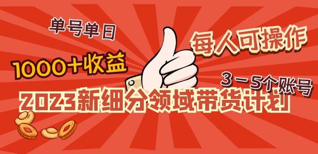 2023新细分领域带货计划：单号单日1000+收益不难，每人可操作3-5个账号-我爱找机会 - 学习赚钱技能, 掌握各行业视频教程