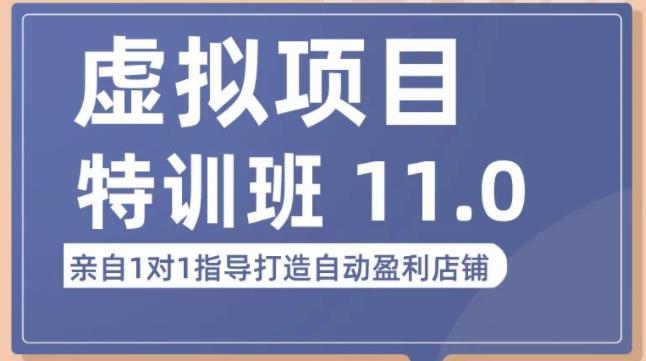 陆明明·虚拟项目特训班（10.0+11.0），0成本获取虚拟素材，0基础打造自动盈利店铺-我爱找机会 - 学习赚钱技能, 掌握各行业视频教程