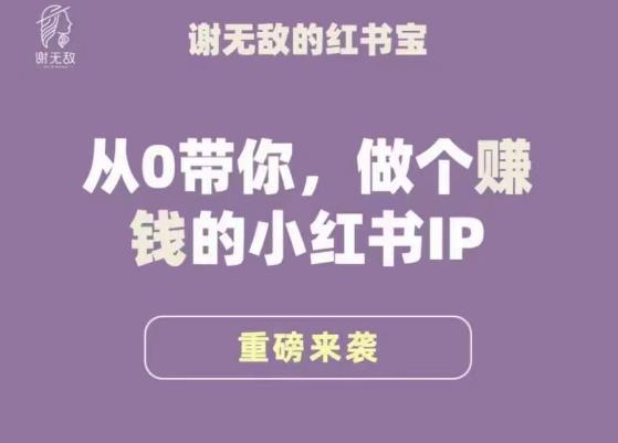 谢无敌·小红书运营大宝典，从0带你做个赚钱的小红书IP-我爱找机会 - 学习赚钱技能, 掌握各行业视频教程