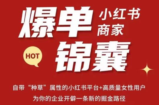 无畏·小红书商家爆单锦囊，掌握小红书各大规则，快速精准抢占行业和市场-我爱找机会 - 学习赚钱技能, 掌握各行业视频教程