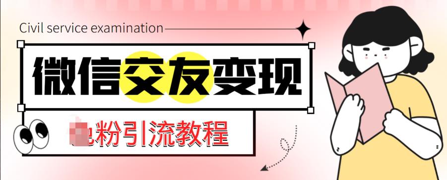 微信交友变现项目，吸引全网LSP男粉精准变现，小白也能轻松上手，日入500+-我爱找机会 - 学习赚钱技能, 掌握各行业视频教程