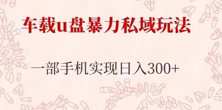 车载u盘暴力私域玩法，长期项目，仅需一部手机实现日入300+-我爱找机会 - 学习赚钱技能, 掌握各行业视频教程