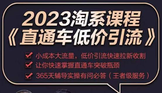 2023直通车低价引流玩法课程，小成本大流量，低价引流快速拉新收割，让你快速掌握直通车突破瓶颈-我爱找机会 - 学习赚钱技能, 掌握各行业视频教程