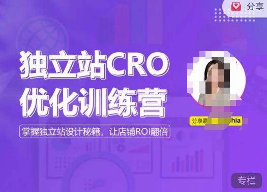 独立站CRO优化训练营，掌握独立站设计秘籍，打造高转化的独立站，让店铺ROI翻倍-我爱找机会 - 学习赚钱技能, 掌握各行业视频教程