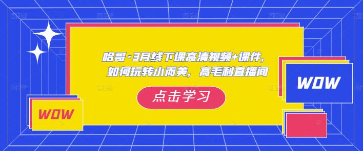 哈哥·3月线下实操课高清视频+课件，如何玩转小而美，高毛利直播间-我爱找机会 - 学习赚钱技能, 掌握各行业视频教程