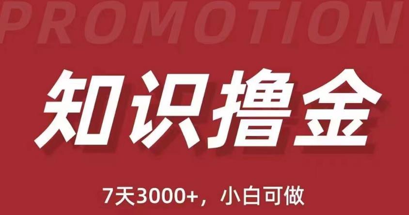 抖音知识撸金项目：简单粗暴日入1000+执行力强当天见收益(教程+资料)-我爱找机会 - 学习赚钱技能, 掌握各行业视频教程