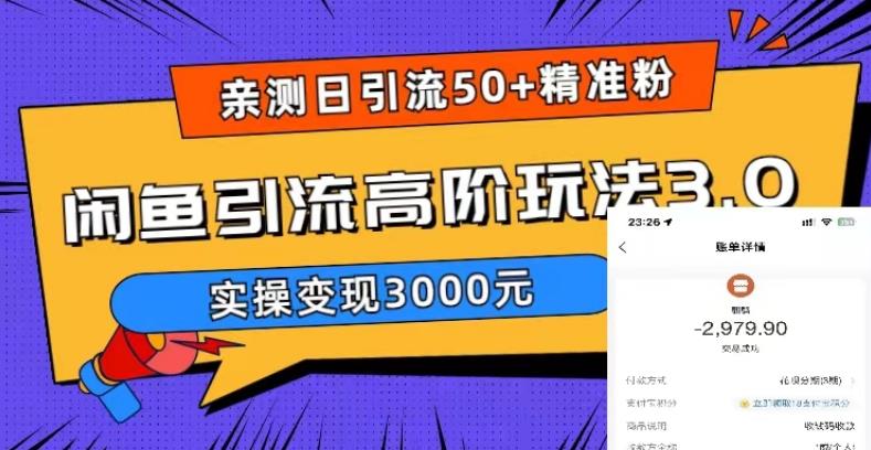 亲测日引50+精准粉，闲鱼引流高阶玩法3.0，实操变现3000元【揭秘】-我爱找机会 - 学习赚钱技能, 掌握各行业视频教程