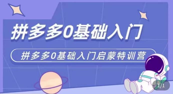 拼多多运营0-1实操特训营，拼多多0基础入门，从基础到进阶的可实操玩法-我爱找机会 - 学习赚钱技能, 掌握各行业视频教程