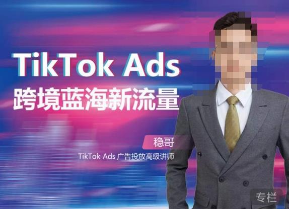 稳哥·如何投出高ROI的TikTok广告，开拓独立站卖家流量新蓝海-我爱找机会 - 学习赚钱技能, 掌握各行业视频教程