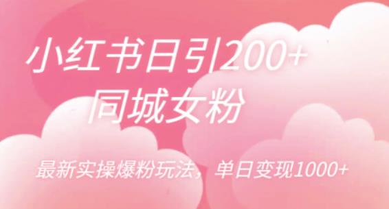 小红书日引200+同城女粉，最新实操爆粉玩法，单日变现1000+【揭秘】-我爱找机会 - 学习赚钱技能, 掌握各行业视频教程