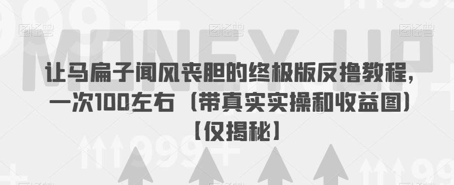 让马扁子闻风丧胆的终极版反撸教程，一次100左右（带真实实操和收益图）【仅揭秘】-我爱找机会 - 学习赚钱技能, 掌握各行业视频教程