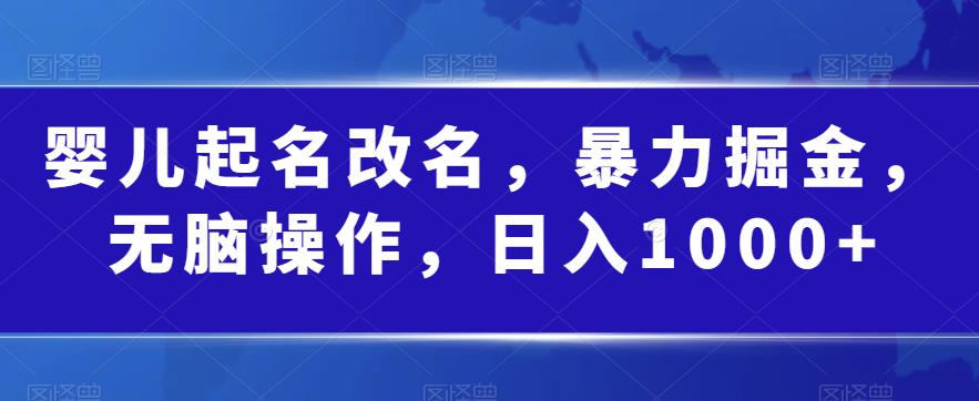 婴儿起名改名，暴力掘金，无脑操作，日入1000+【揭秘】-我爱找机会 - 学习赚钱技能, 掌握各行业视频教程