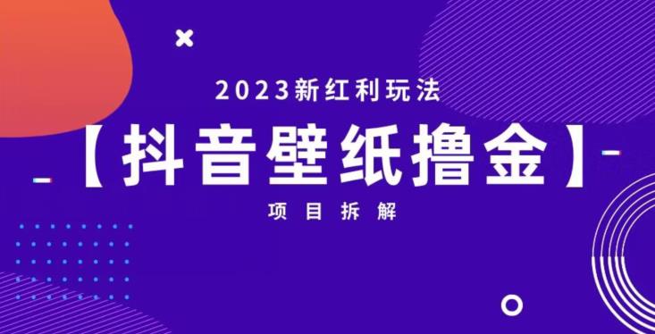 抖音壁纸小程序创作者撸金项目，2023新红利玩法【项目拆解】-我爱找机会 - 学习赚钱技能, 掌握各行业视频教程