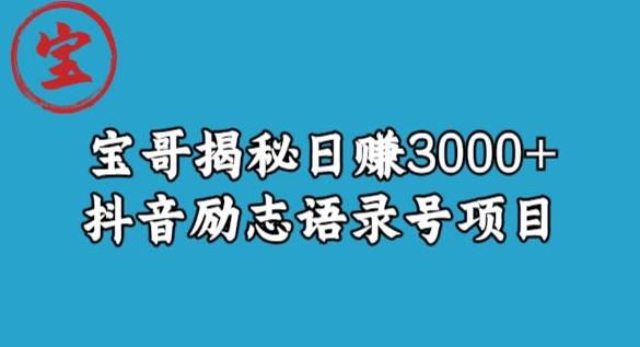 宝哥揭秘日赚3000+抖音励志语录号短视频变现项目-我爱找机会 - 学习赚钱技能, 掌握各行业视频教程