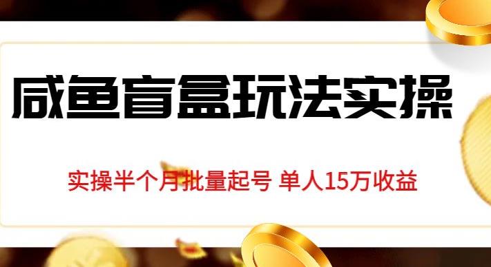 独家首发咸鱼盲盒玩法实操，半个月批量起号单人15万收益【揭秘】-我爱找机会 - 学习赚钱技能, 掌握各行业视频教程