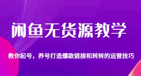 闲鱼无货源教学，教你起号，养号打造爆款链接以及转转的运营技巧-我爱找机会 - 学习赚钱技能, 掌握各行业视频教程