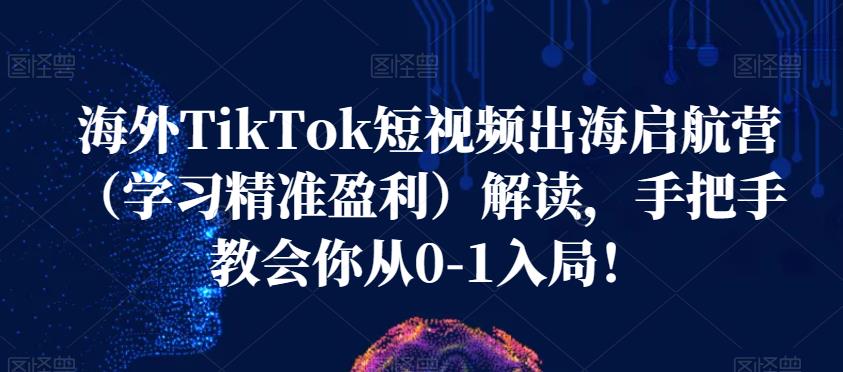 海外TikTok短视频出海启航营（学习精准盈利）解读，手把手教会你从0-1入局！-我爱找机会 - 学习赚钱技能, 掌握各行业视频教程