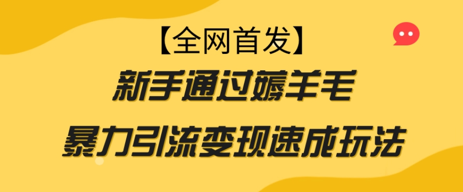 【全网首发】新手通过薅羊毛暴力引流变现速成玩法-我爱找机会 - 学习赚钱技能, 掌握各行业视频教程