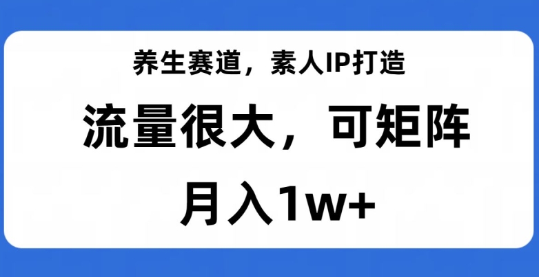 养生赛道，素人IP打造，流量很大，可矩阵，月入1w+【揭秘】-我爱找机会 - 学习赚钱技能, 掌握各行业视频教程