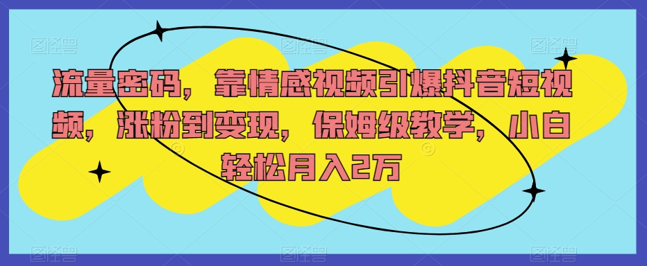 流量密码，靠情感视频引爆抖音短视频，涨粉到变现，保姆级教学，小白轻松月入2万【揭秘】-我爱找机会 - 学习赚钱技能, 掌握各行业视频教程