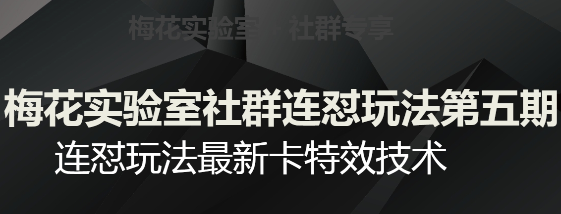 梅花实验室社群连怼玩法第五期，视频号连怼玩法最新卡特效技术-我爱找机会 - 学习赚钱技能, 掌握各行业视频教程