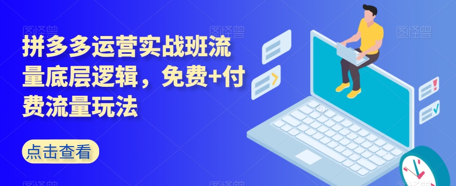 拼多多运营实战班流量底层逻辑，免费+付费流量玩法-我爱找机会 - 学习赚钱技能, 掌握各行业视频教程