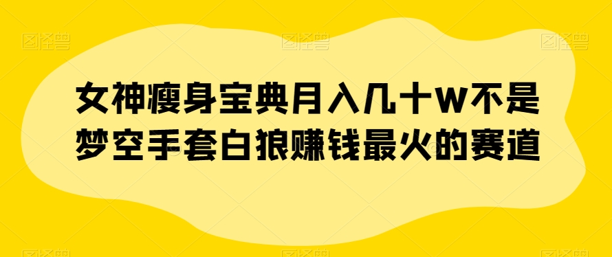 女神瘦身宝典月入几十W不是梦空手套白狼赚钱最火的赛道【揭秘】-我爱找机会 - 学习赚钱技能, 掌握各行业视频教程