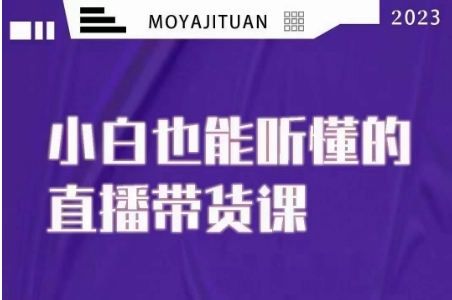 大威本威·能听懂的直播带货课，小白也能听懂，20节完整-我爱找机会 - 学习赚钱技能, 掌握各行业视频教程