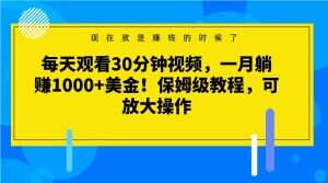 每天观看30分钟视频，一月躺赚1000+美金！保姆级教程，可放大操作【揭秘】-我爱找机会 - 学习赚钱技能, 掌握各行业视频教程