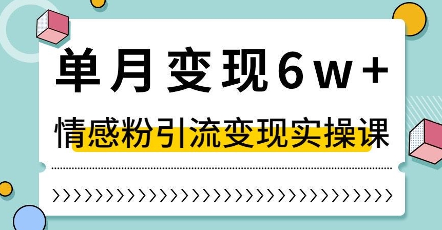 单月变现6W+，抖音情感粉引流变现实操课，小白可做，轻松上手，独家赛道【揭秘】-我爱找机会 - 学习赚钱技能, 掌握各行业视频教程