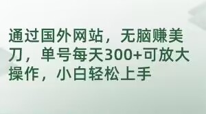 通过国外网站，无脑赚美刀，单号每天300+可放大操作，小白轻松上手【揭秘】-我爱找机会 - 学习赚钱技能, 掌握各行业视频教程