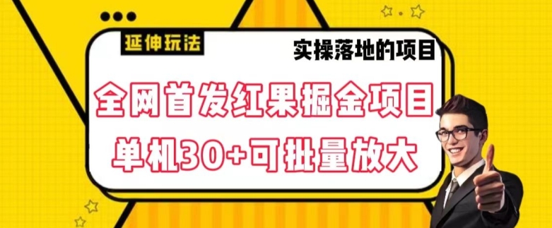 全网首发红果免费短剧掘金项目，单机30+可批量放大【揭秘】-我爱找机会 - 学习赚钱技能, 掌握各行业视频教程