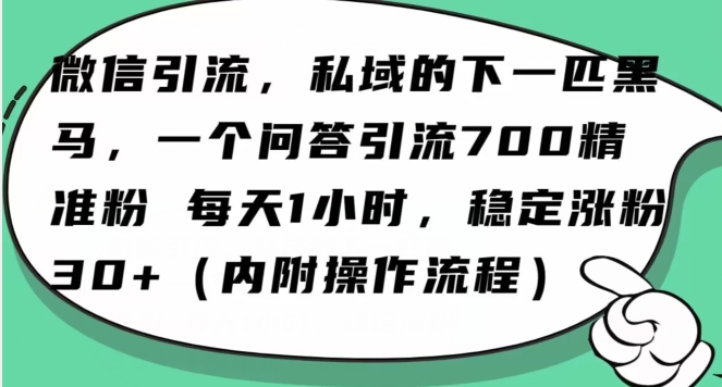 怎么搞精准创业粉？微信新赛道，每天一小时，利用Ai一个问答日引100精准粉-我爱找机会 - 学习赚钱技能, 掌握各行业视频教程