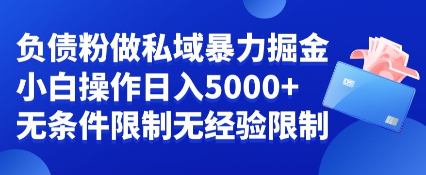 负债粉私域暴力掘金，小白操作入5000，无经验限制，无条件限制【揭秘】-我爱找机会 - 学习赚钱技能, 掌握各行业视频教程