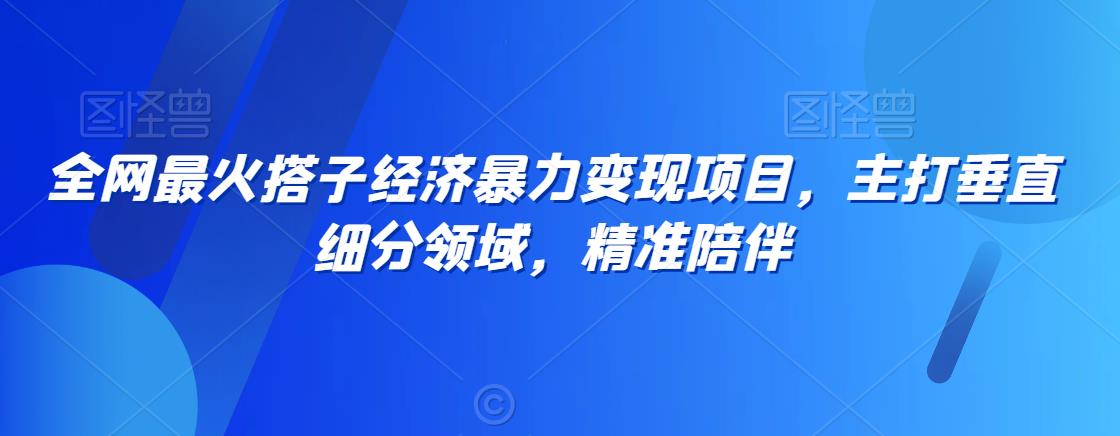 全网最火搭子经济暴力变现项目，主打垂直细分领域，精准陪伴【揭秘】-我爱找机会 - 学习赚钱技能, 掌握各行业视频教程