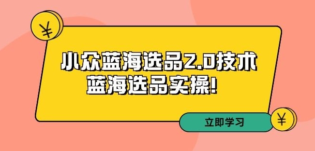 拼多多培训第33期：小众蓝海选品2.0技术-蓝海选品实操！-我爱找机会 - 学习赚钱技能, 掌握各行业视频教程