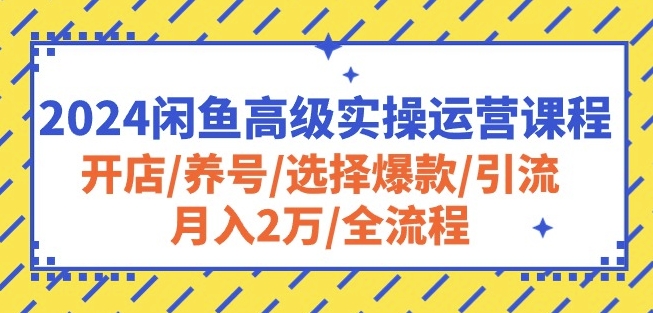 2024闲鱼高级实操运营课程：开店/养号/选择爆款/引流/月入2万/全流程-我爱找机会 - 学习赚钱技能, 掌握各行业视频教程