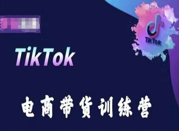 TikTok电商带货训练营，跟随时代潮流，跨境掘金-我爱找机会 - 学习赚钱技能, 掌握各行业视频教程